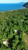 Lot 4 Cape Tribulation Road, Cape Tribulation, Qld 4873-Image