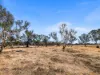 Lot 41 Golf Course Road, Bruce Rock, WA 6418-Image