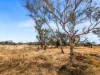 Lot 41 Golf Course Road, Bruce Rock, WA 6418-Image