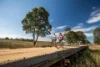 Lot 444 Lighthorse  Avenue (The Rise), Traralgon, Vic 3844-Image