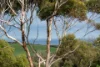 Lot 5 Oleander Road, Maslin Beach SA 5170-Image