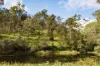 Lot 6/ 358 Upper Brookfield Road, Upper Brookfield, Qld 4069-Image