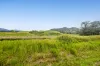 Lot 67 Innisfail Japoon Road, Japoonvale, Qld 4856-Image