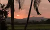 Lot 67 Innisfail Japoon Road, Japoonvale, Qld 4856-Image