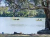 Lot 75/1325 Murbko Road, Murbko, SA 5320-Image