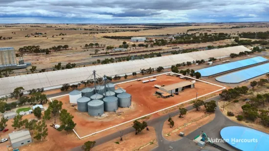 Lot 8 Gabo Avenue, Merredin, WA 6415