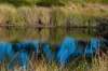 Lot 8 Steeplechase Avenue, St Clair, SA 5011-Image