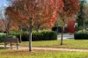 Lot 8 Steeplechase Avenue, St Clair, SA 5011-Image