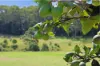Lot 84 Kynoch Road, Ravensbourne, Qld 4352-Image