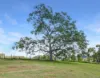 Lot 84 Kynoch Road, Ravensbourne, Qld 4352-Image