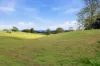 Lot 84 Kynoch Road, Ravensbourne, Qld 4352-Image