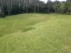 Lot 84 Kynoch Road, Ravensbourne, Qld 4352-Image