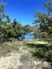Lots 196 & 197 Reno Bay, Guthalungra, Qld 4805-Image