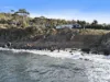 Offering/12164 Tasman Highway, Rocky Hills, Tas 7190-Image