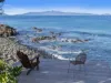 Offering/12164 Tasman Highway, Rocky Hills, Tas 7190-Image