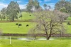 Orondo Farm, Dwellingup, WA 6213-Image
