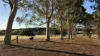 PL 805 Scotts Brook Road, Scotts Brook, WA 6244-Image