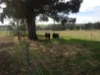 PL 805 Scotts Brook Road, Scotts Brook, WA 6244-Image