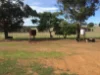 PL 805 Scotts Brook Road, Scotts Brook, WA 6244-Image