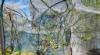 * Plant Avenue, Clare, SA 5453-Image