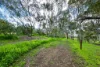 * Plant Avenue, Clare, SA 5453-Image