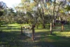 * Plant Avenue, Clare, SA 5453-Image