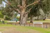 Proposed l Kingfisher Loop, Willetton, WA 6155-Image
