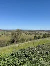 , Quirindi NSW 2343-Image