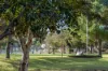 Res 1, 15 Bode Street, Henley Beach South, SA 5022-Image