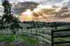"Savannah Springs" 294 Rolfe Road, Wallaroo, NSW 2618-Image