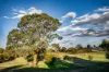 "Savannah Springs" 294 Rolfe Road, Wallaroo, NSW 2618-Image