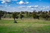 "Savannah Springs" 294 Rolfe Road, Wallaroo, NSW 2618-Image