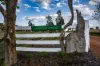 "Savannah Springs" 294 Rolfe Road, Wallaroo, NSW 2618-Image