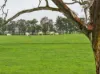 'Smithfield', 266 Gooda Creek Road, Murrumbateman, NSW 2582-Image