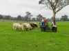 'Smithfield', 266 Gooda Creek Road, Murrumbateman, NSW 2582-Image