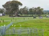 'Smithfield', 266 Gooda Creek Road, Murrumbateman, NSW 2582-Image