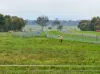 'Smithfield', 266 Gooda Creek Road, Murrumbateman, NSW 2582-Image