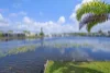 unit 173/368 Oxley Drive, Coombabah, Qld 4216-Image