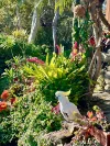 Upper Level/6 Woodfield Avenue, Bundeena, NSW 2230-Image