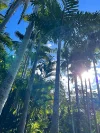 Upper Level/6 Woodfield Avenue, Bundeena, NSW 2230-Image