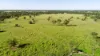 'Waldegrave' 941 Orallo Road, Roma, Qld 4455-Image