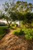 'Waldegrave' 941 Orallo Road, Roma, Qld 4455-Image