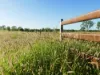 'Waldegrave' 941 Orallo Road, Roma, Qld 4455-Image