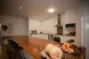 'Waldegrave' 941 Orallo Road, Roma, Qld 4455-Image