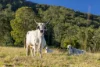 Wingara 81 Heath Road, Stanmore, Qld 4514-Image