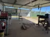 WLL 15103 18-14 New Chum Opal Field, Lightning Ridge, NSW 2834-Image