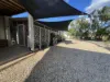 WLL14996 Lightning Ridge, Lightning Ridge, NSW 2834
