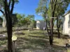 WLL14996 Lightning Ridge, Lightning Ridge, NSW 2834-Image