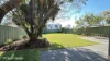 xx Dolley Road, Padstow, NSW 2211-Image