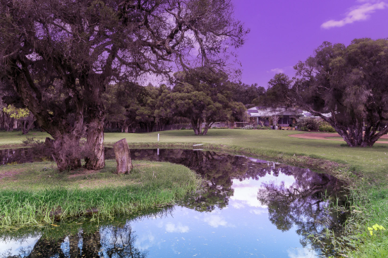 Sara Muir Real Estate - Oakford - Real Estate Agency